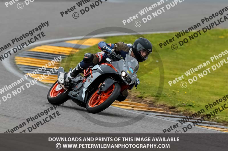 PJ Motorsport 2019;anglesey no limits trackday;anglesey photographs;anglesey trackday photographs;enduro digital images;event digital images;eventdigitalimages;no limits trackdays;peter wileman photography;racing digital images;trac mon;trackday digital images;trackday photos;ty croes